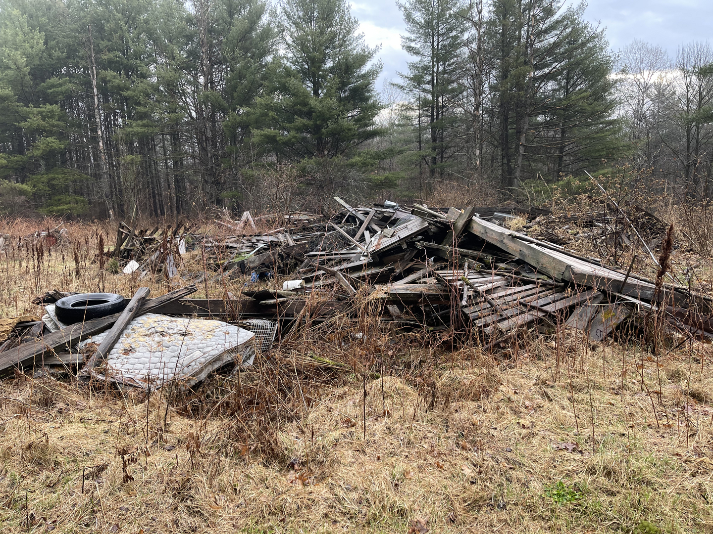 Large pile of wood debris and junk on property