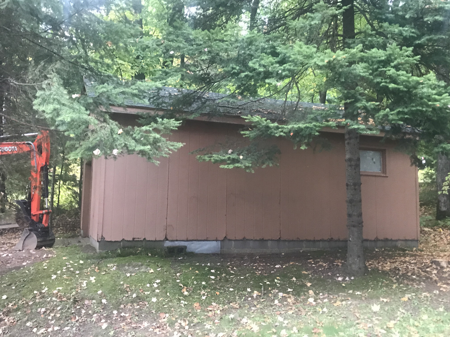 Brown garage with flat roof surrounded by pine trees before demolition
