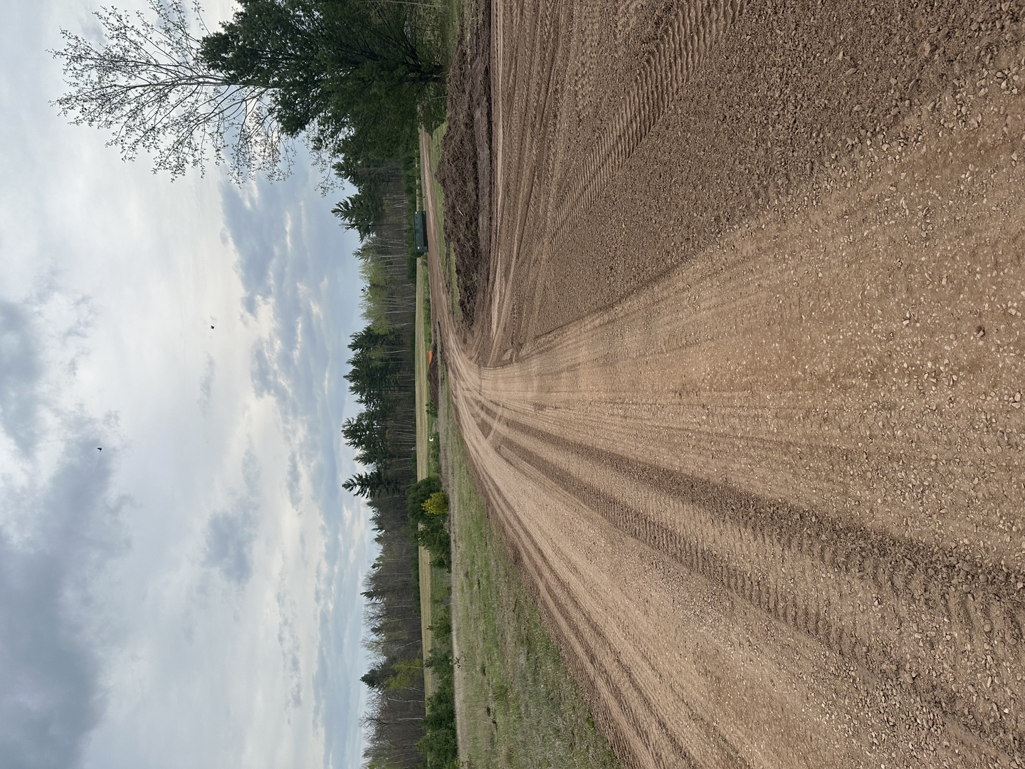 Graded dirt road leading to transfer station building with pine trees
