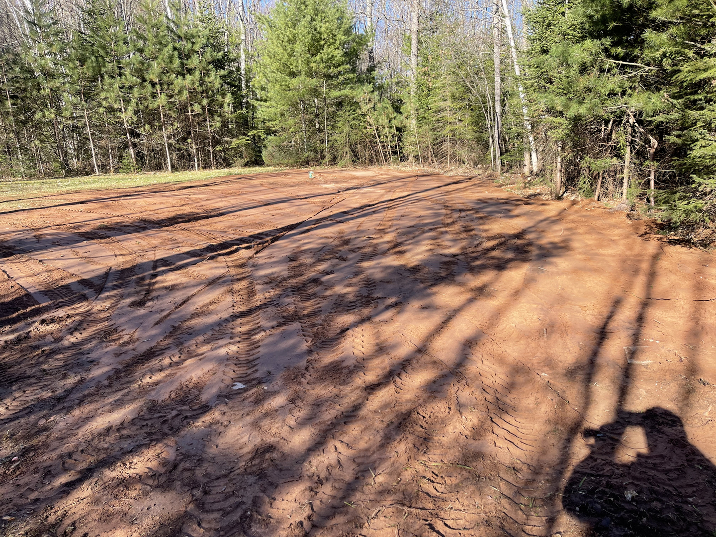 Graded red dirt driveway through pine forest
